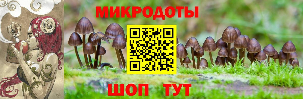 Жигулёвск  Галлюциногенные грибы Psilocybine cubensis  Вход с VPN 