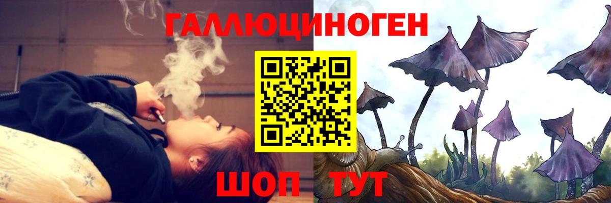 Галлюциногенные грибы мухоморы Жигулёвск